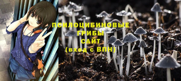 соль ск Волоколамск
