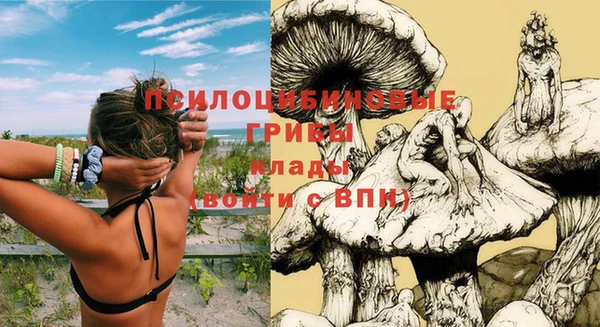 соль ск Волоколамск
