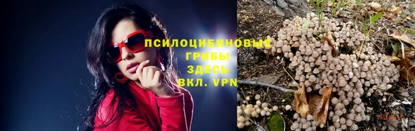 каннабис Вяземский